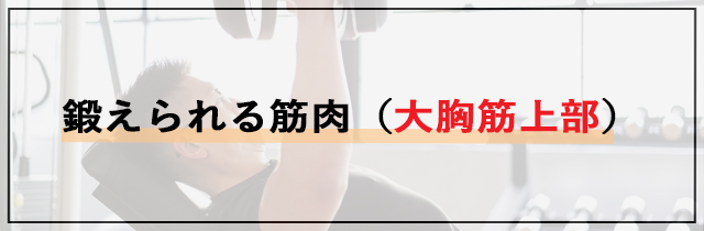 鍛えられる筋肉（大胸筋上部）