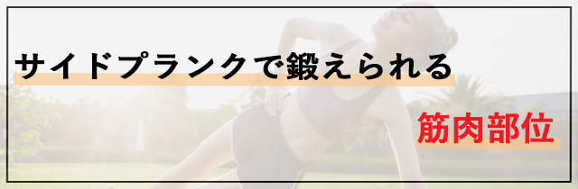 サイドプランクで鍛えられる筋肉部位