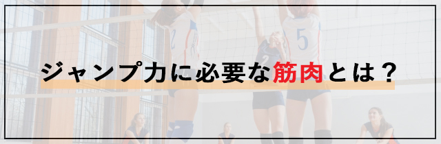 ジャンプ力に必要な筋肉とは？