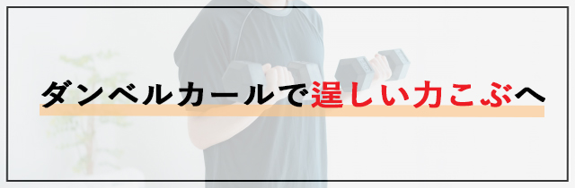 ダンベルカールで逞しい力こぶへ