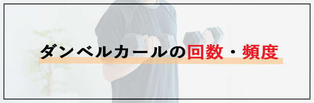 ダンベルカールの回数・頻度