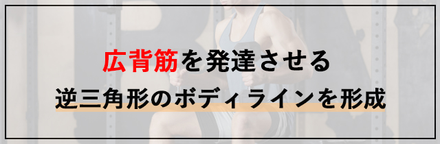 ダンベルデッドリフトはどこに効く？広背筋を発達させる