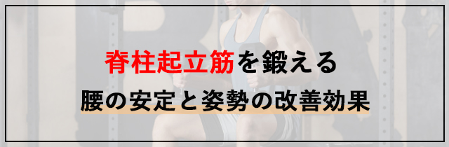 ダンベルデッドリフトはどこに効く？脊柱起立筋を鍛える