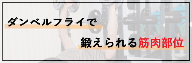 ダンベルフライで鍛えられる筋肉部位