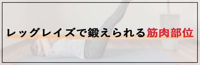 レッグレイズで鍛えられる筋肉部位