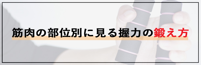 筋肉の部位別に見る握力の鍛え方
