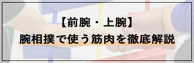 腕相撲で使う筋肉を徹底解説【前腕・上腕】